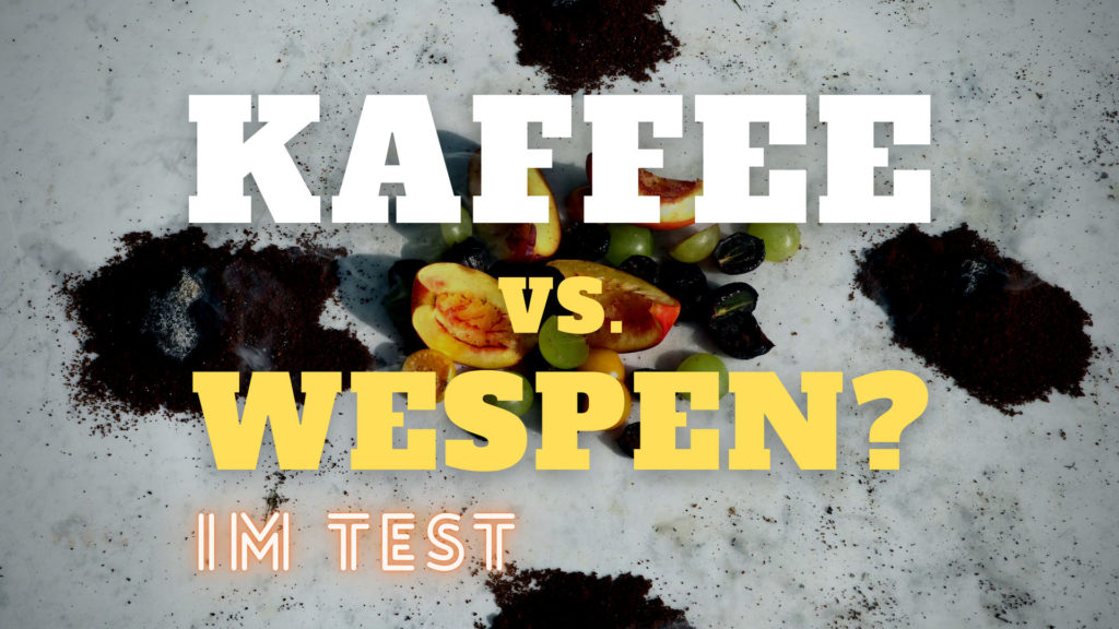 Kaffee gegen Wespen