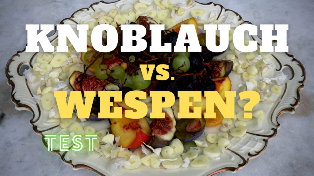 Knoblauch gegen Wespen